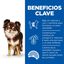6 kg Hill's Science Plan Light Adult Small y Mini Pollo pienso para perros, , large indicador imagen numero 5